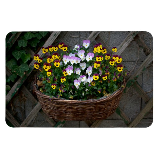Basket with Violas Magnet (Horisontell)