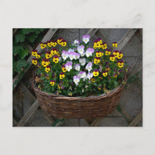 Basket with Violas Vykort
