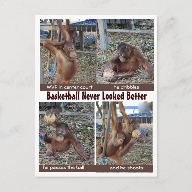 Basketball Heroes Vykort (Framsida)