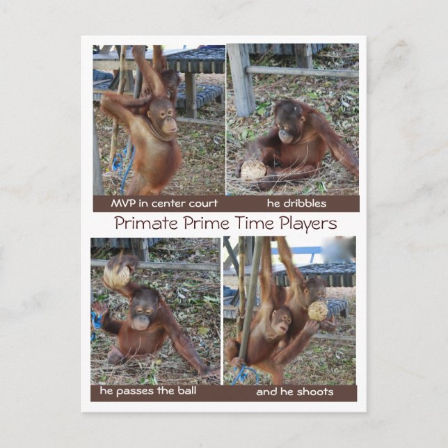 Basketball MVP Ring Jokes Vykort (Framsida)