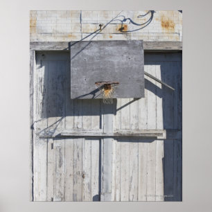 Basketboll på rustiskt byggnad poster