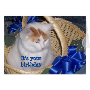 BASKETFUL AV **PURRECT* BIRTHDAY ÖNSKEMÅL HÄLSNINGSKORT