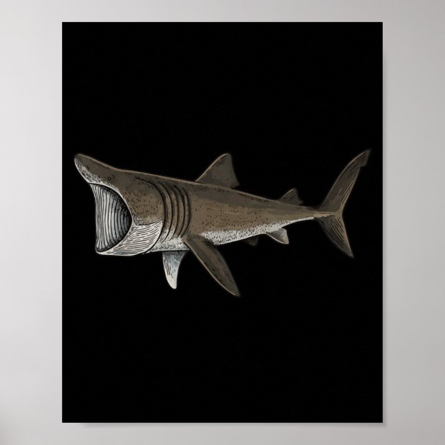 Basking Shark Poster (Framsidan)