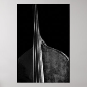Bass 5-poster poster