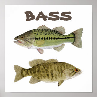 Bass art poster