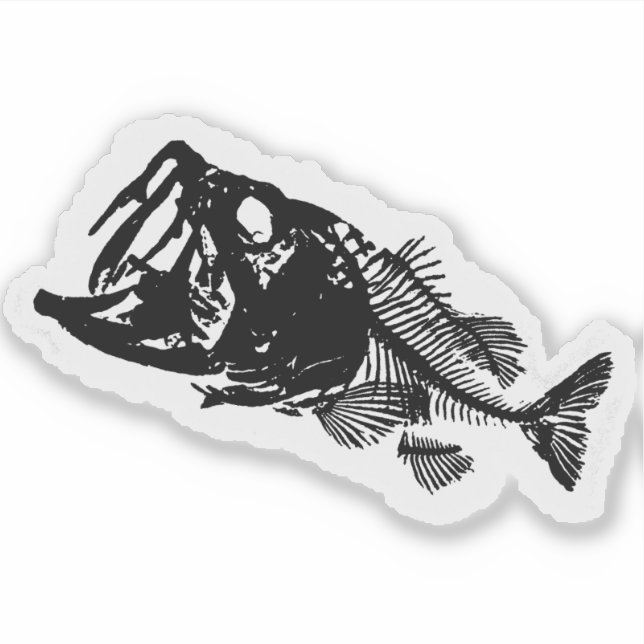 BASS & BONES KLISTERMÄRKEN (Framsida)