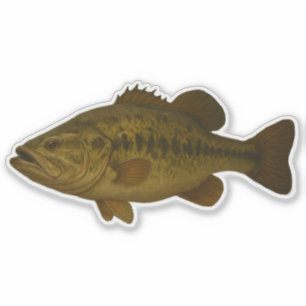 Bass-dekal Klistermärken