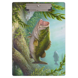 Bass Fish