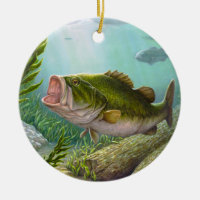 Bass Fish