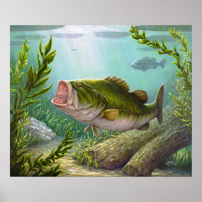 Bass Fish Poster (Framsidan)