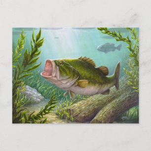 Bass Fish Vykort