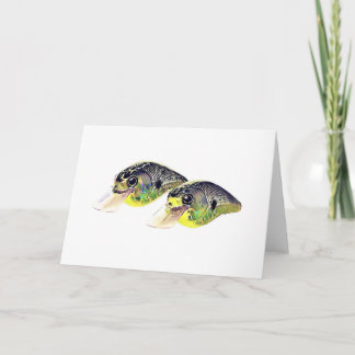 Bass Fishing Crankbait Greeting Card Kort