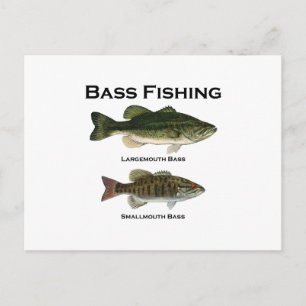Bass Fishing Logotyp (largemouth - small mouth) Vykort