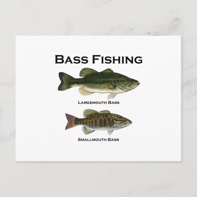 Bass Fishing Logotyp (largemouth - small mouth) Vykort (Framsida)