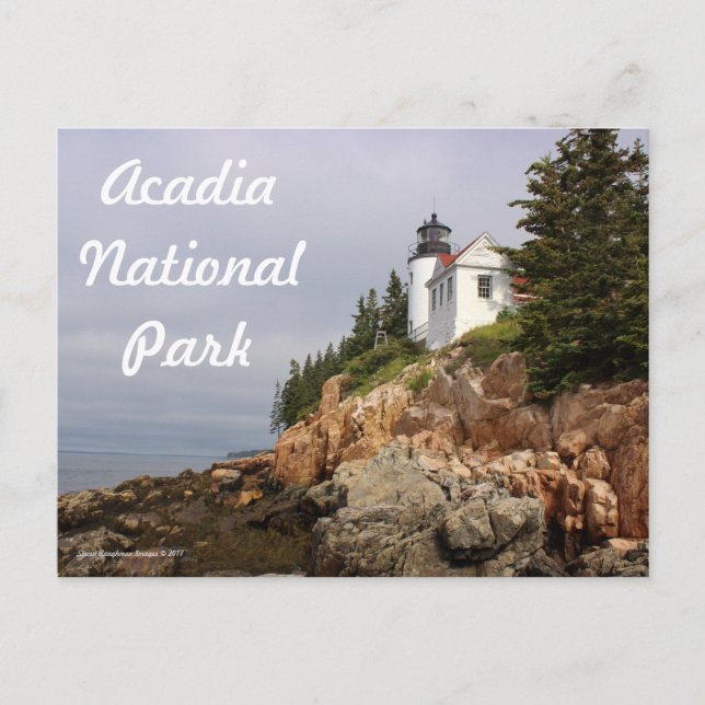 Bass Harbour Lighthouse-vykort Vykort (Framsida)