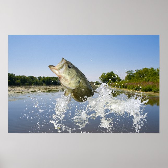 Bass Jump 2013 Poster (Framsidan)