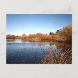 Bass Pond One Vykort