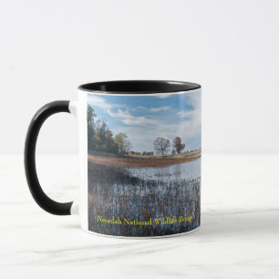 bassäng och våtmarker vid necedah mugg