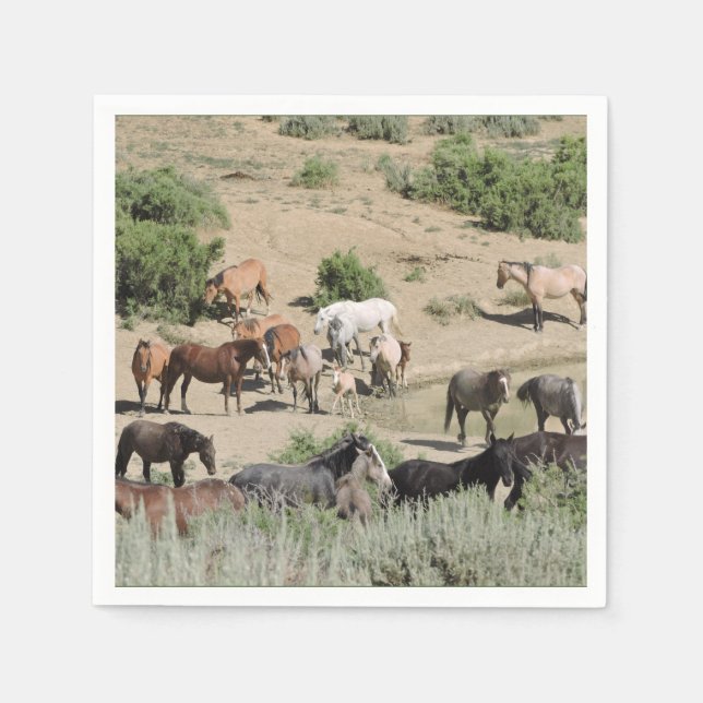 Bassäng Party Time Sand Tvätta Basin Pappersservett (Framsidan)