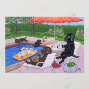 Bassängparty Labradors 2 Inbjudningar