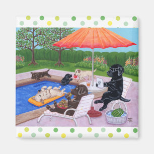 Bassängparty Labradors 2 Magnet