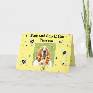 Basset Birthday Card -"Stop and Smell the Flowers" Kort