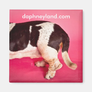 Basset Butt Magnet