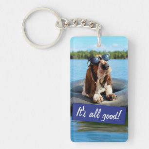 Basset har hamnat i solglasögon