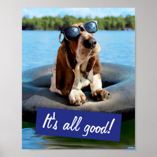 Basset har hamnat i solglasögon poster