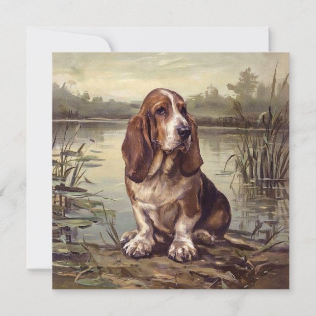 Basset Hound (Framsida)