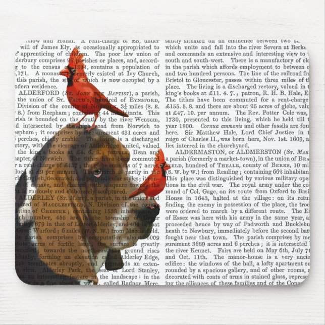 Basset Hound and Birds Musmatta (Framsidan)