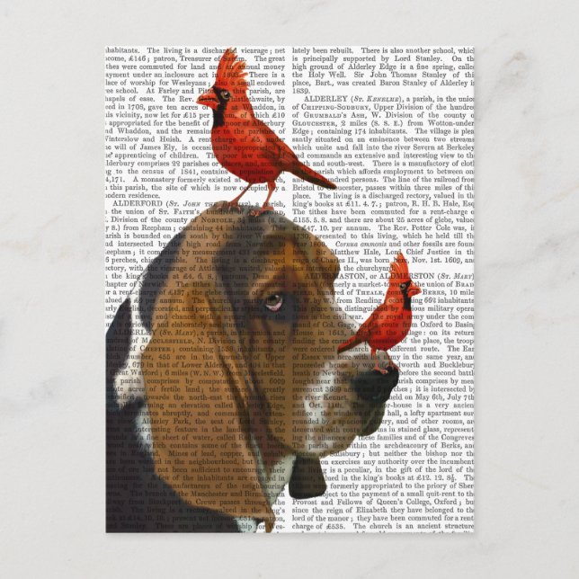 Basset Hound and Birds Vykort (Framsida)