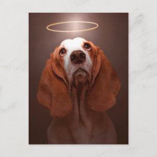 Basset Hound Angel Vykort