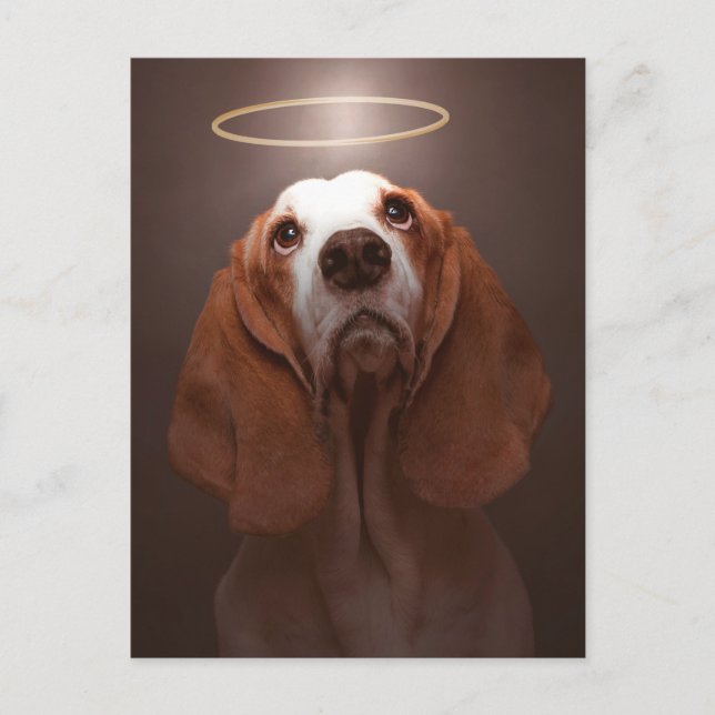 Basset Hound Angel Vykort (Framsida)
