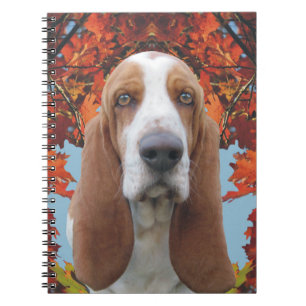 Basset Hound Anteckningsbok