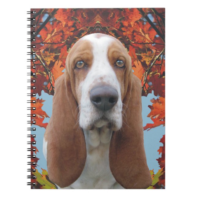 Basset Hound Anteckningsbok (Framsidan)