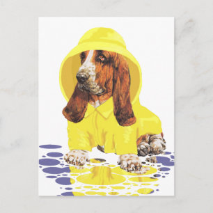 Basset Hound April Showers Vykort