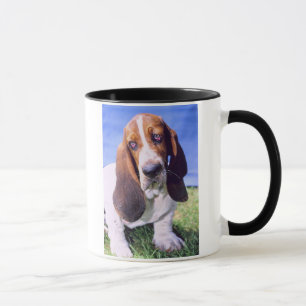 Basset Hound Bild Mugg