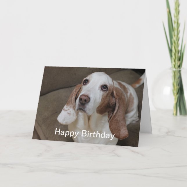 Basset Hound Birthday Card Kort (Framsida)