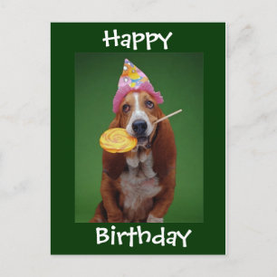 Basset Hound Birthday Lollipop Vykort