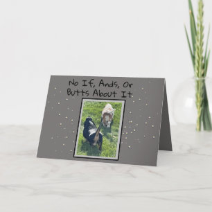 Basset Hound Butt Funny Birthday Card Kort