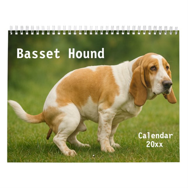 Basset Hound Calendar 2026 Kalender (Omslag)