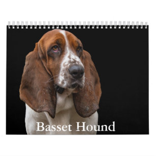 Basset Hound Calendar Kalender