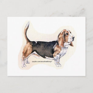 Basset Hound Card Vykort