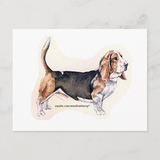 Basset Hound Card Vykort (Framsida)