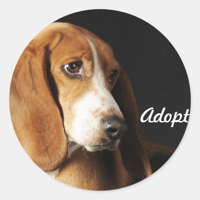 Basset-hound-dekal Runt Klistermärke (Framsida)