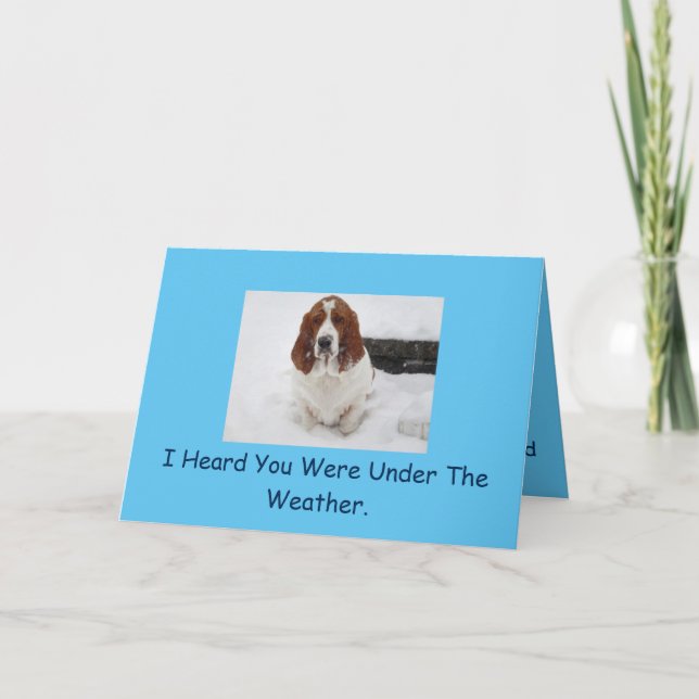 Basset Hound får ett bra kort. Kort (Framsida)