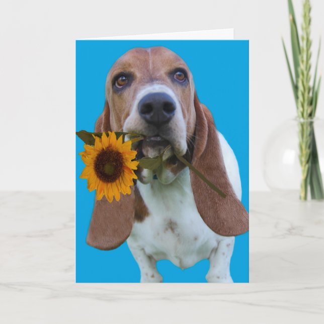 Basset Hound Get-källkort Kort (Framsida)
