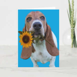 Basset Hound Get-källkort Kort