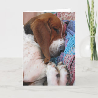 Basset Hound Get well Soon Card Kort